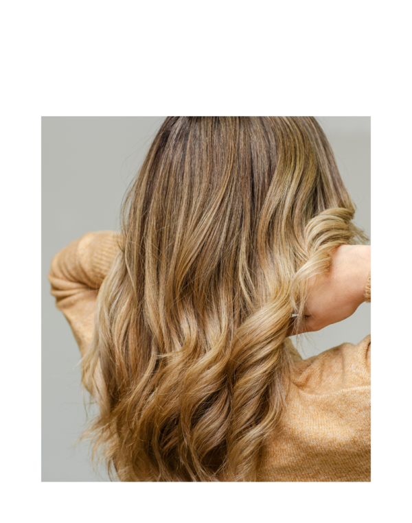 Coffret Renaissance Booster Pousse